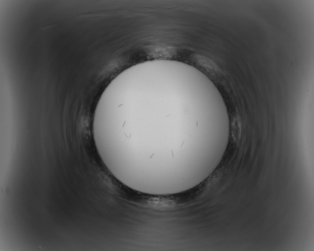 X0000083590714200703021845