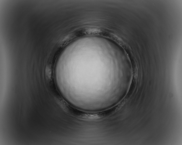 X0000083590715200703021845