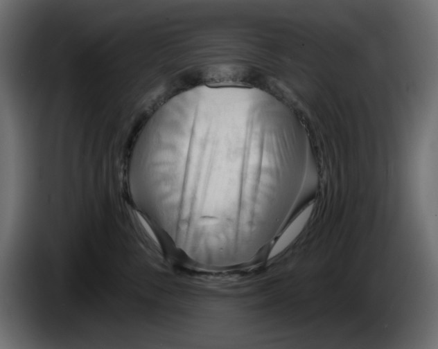 X0000083590716200703021845