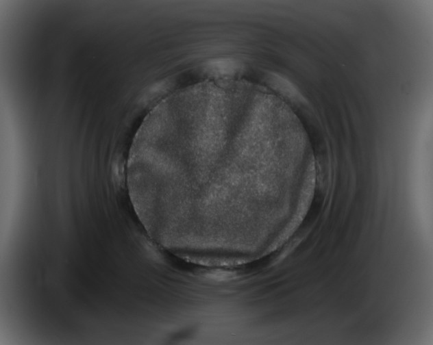 X0000083590718200703021845