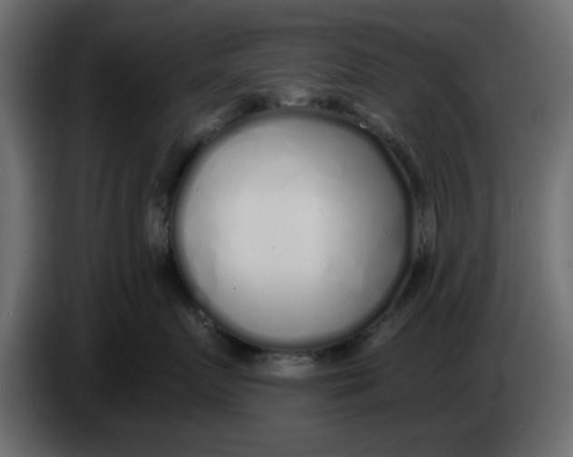 X0000083590719200703021845