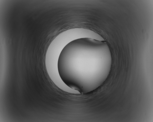 X0000083590720200703021845