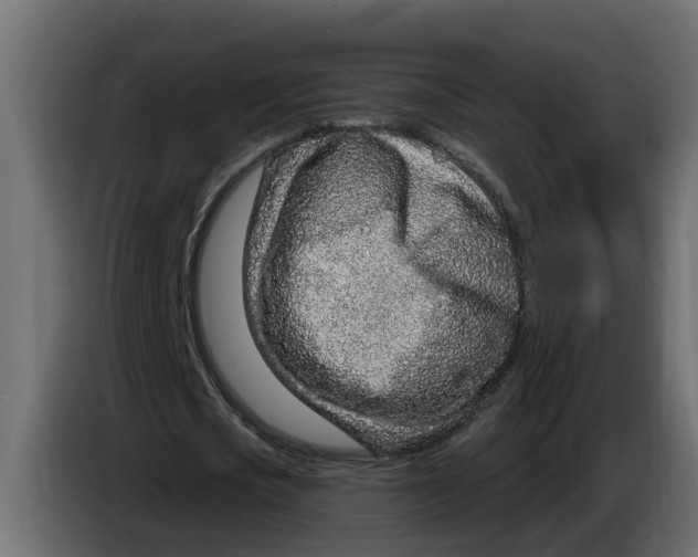 X0000083590721200703021844