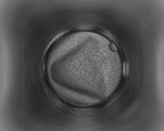 X0000083590723200703021844