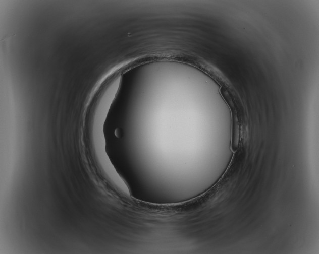 X0000083590724200703021844
