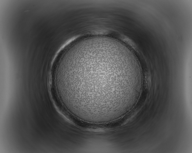 X0000083590726200703021844
