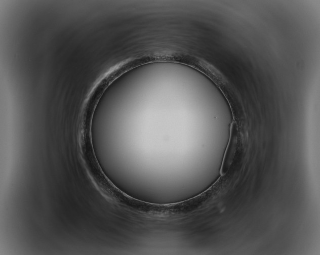 X0000083590728200703021844