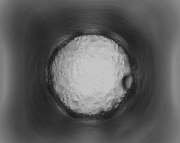 X0000083590729200703021844