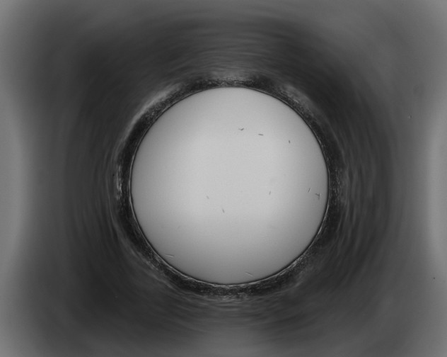 X0000083590731200703021844
