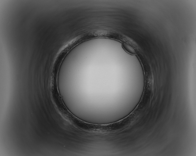 X0000083590732200703021844