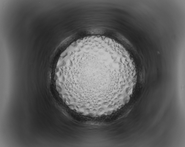 X0000083590733200703021844