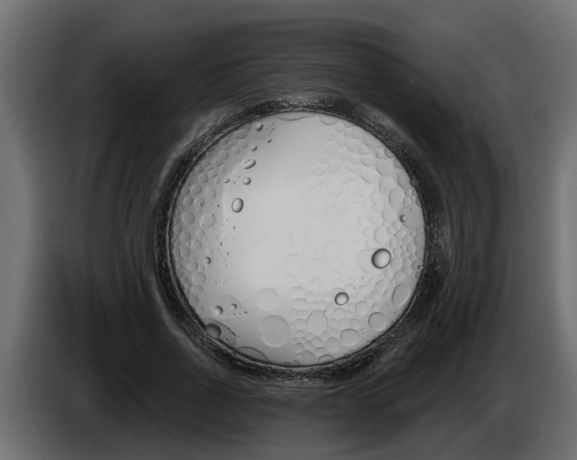 X0000083590734200703021844