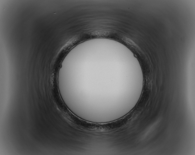 X0000083590735200703021844