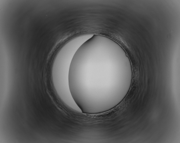 X0000083590736200703021844
