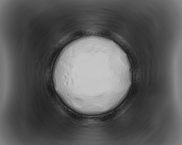 X0000083590737200703021844