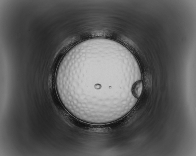 X0000083590738200703021844