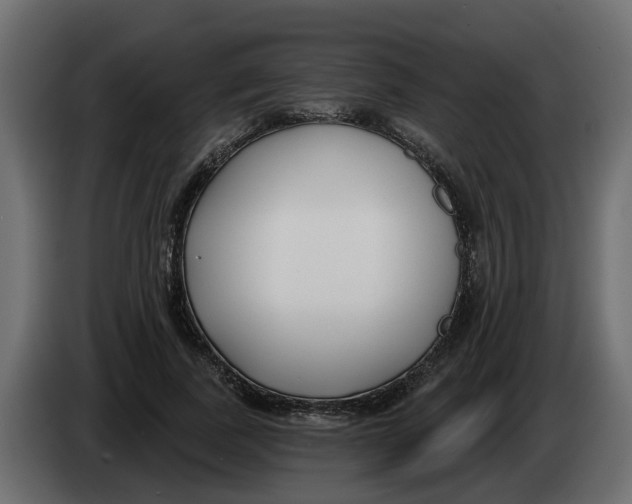 X0000083590739200703021844