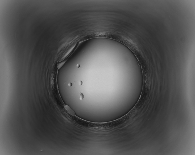 X0000083590740200703021844