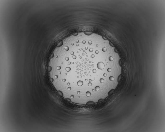 X0000083590741200703021844