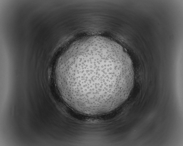 X0000083590742200703021844