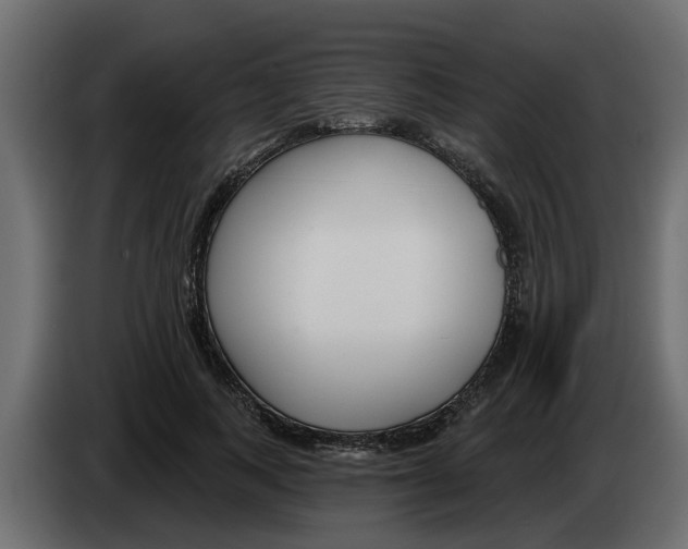 X0000083590743200703021844