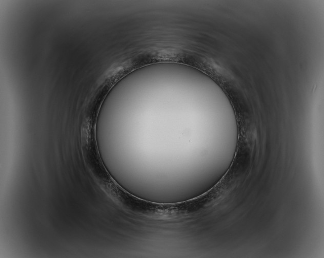 X0000083590744200703021844
