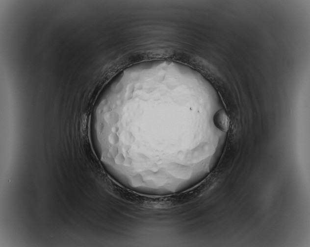X0000083590745200703021844