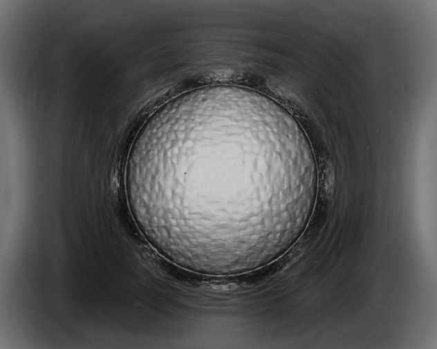 X0000083590746200703021844