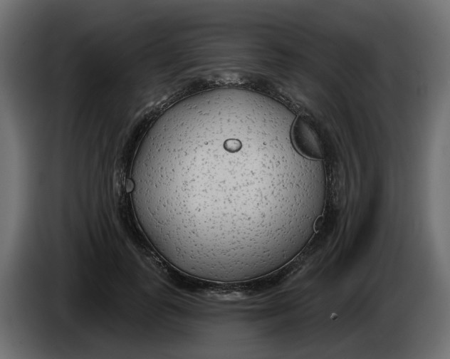 X0000083590747200703021844