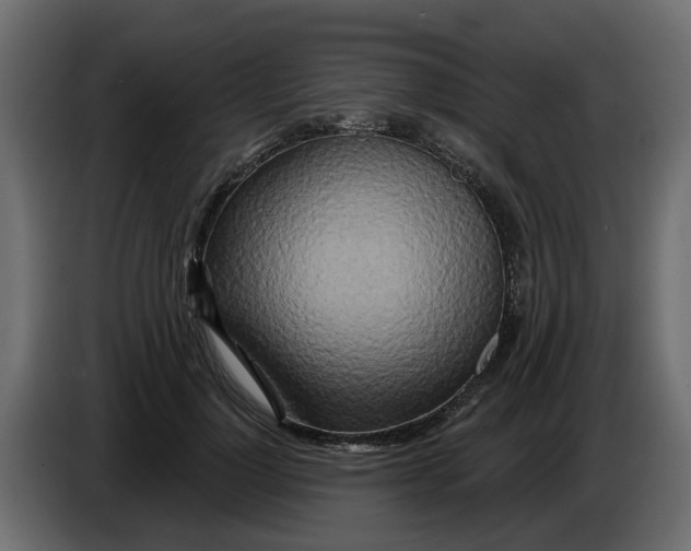 X0000083590748200703021844
