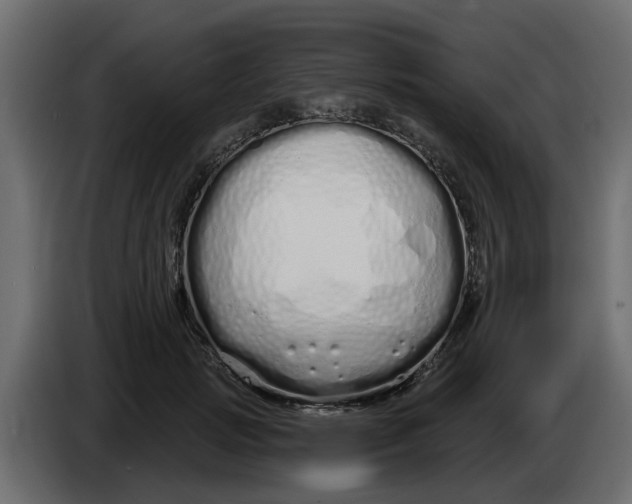 X0000083590749200703021844