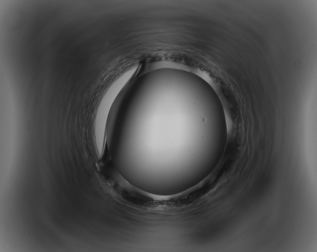 X0000083590750200703021844