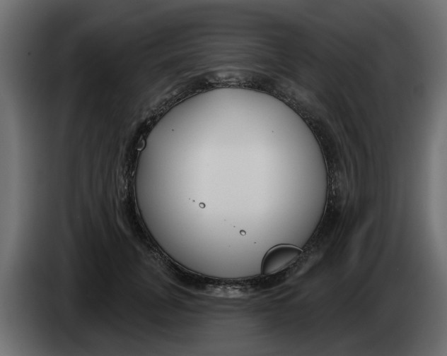 X0000083590751200703021844
