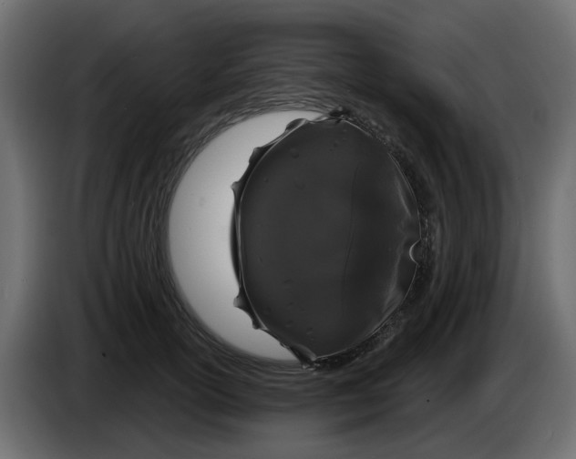 X0000083590754200703021845