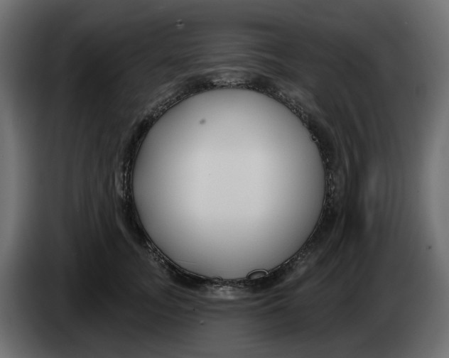 X0000083590755200703021845