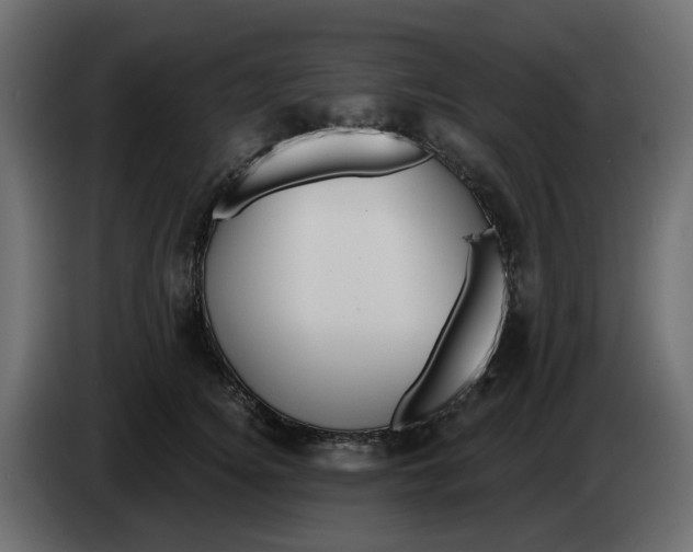 X0000083590756200703021845