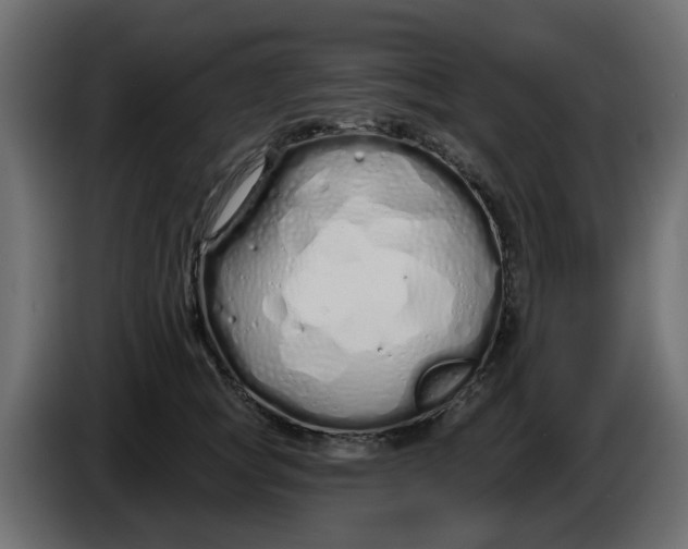X0000083590757200703021845