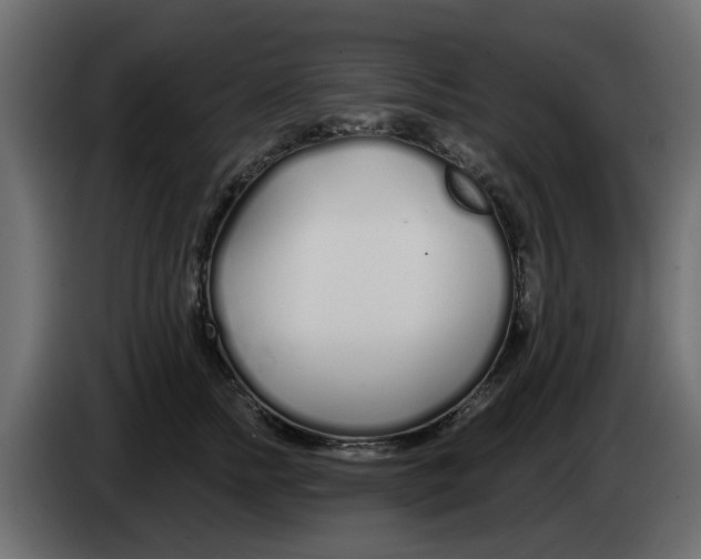 X0000083590758200703021845