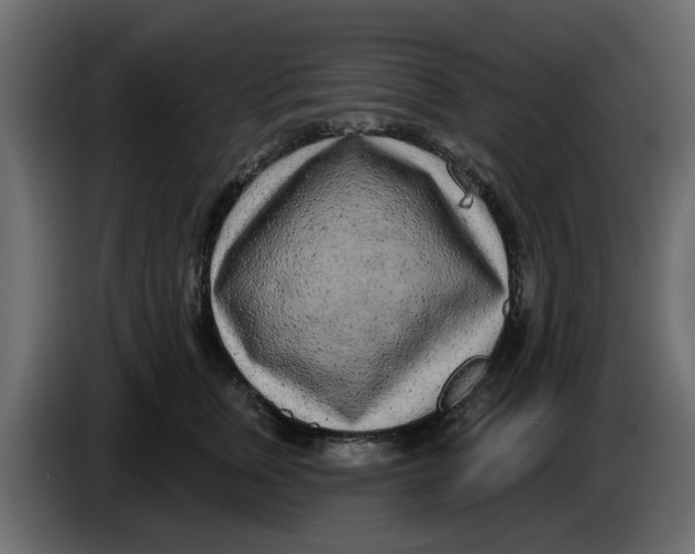X0000083590759200703021845