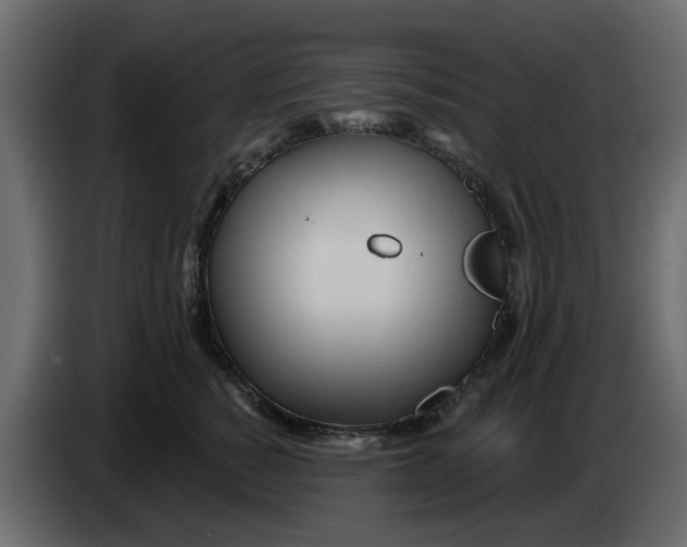 X0000083590760200703021845