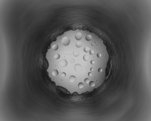 X0000083590761200703021845