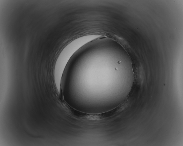 X0000083590762200703021845