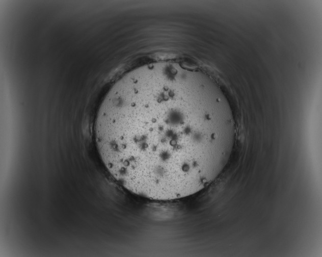 X0000083590763200703021845