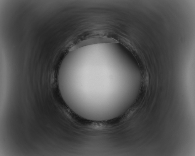 X0000083590764200703021845