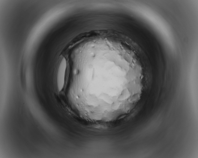 X0000083590765200703021845
