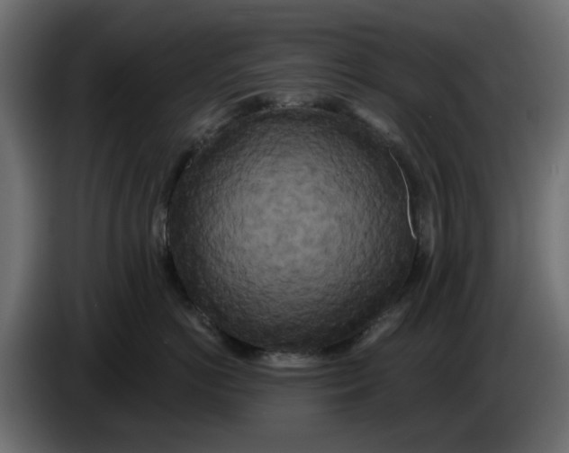 X0000083590766200703021845