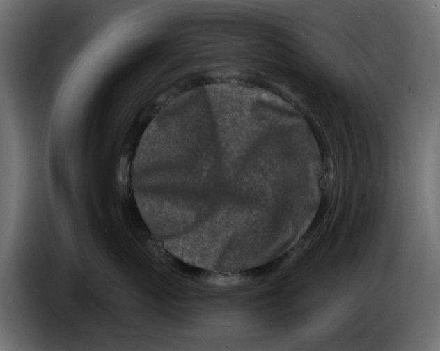 X0000083590767200703021845