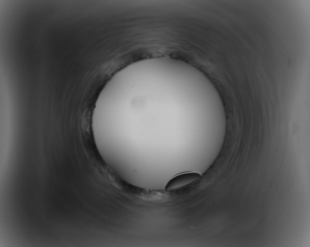 X0000083590768200703021845