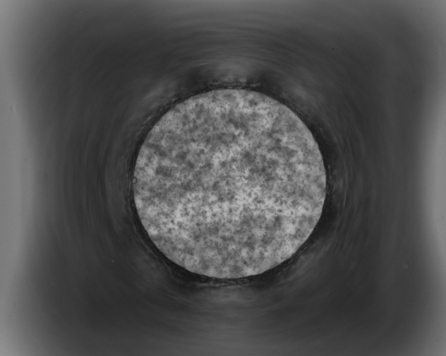 X0000083590769200703021844