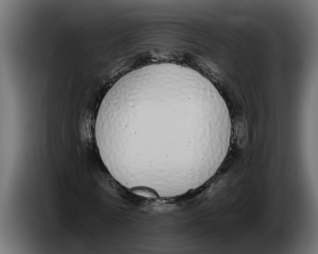 X0000083590770200703021844